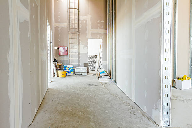 Best Basement Mold Removal  in USA